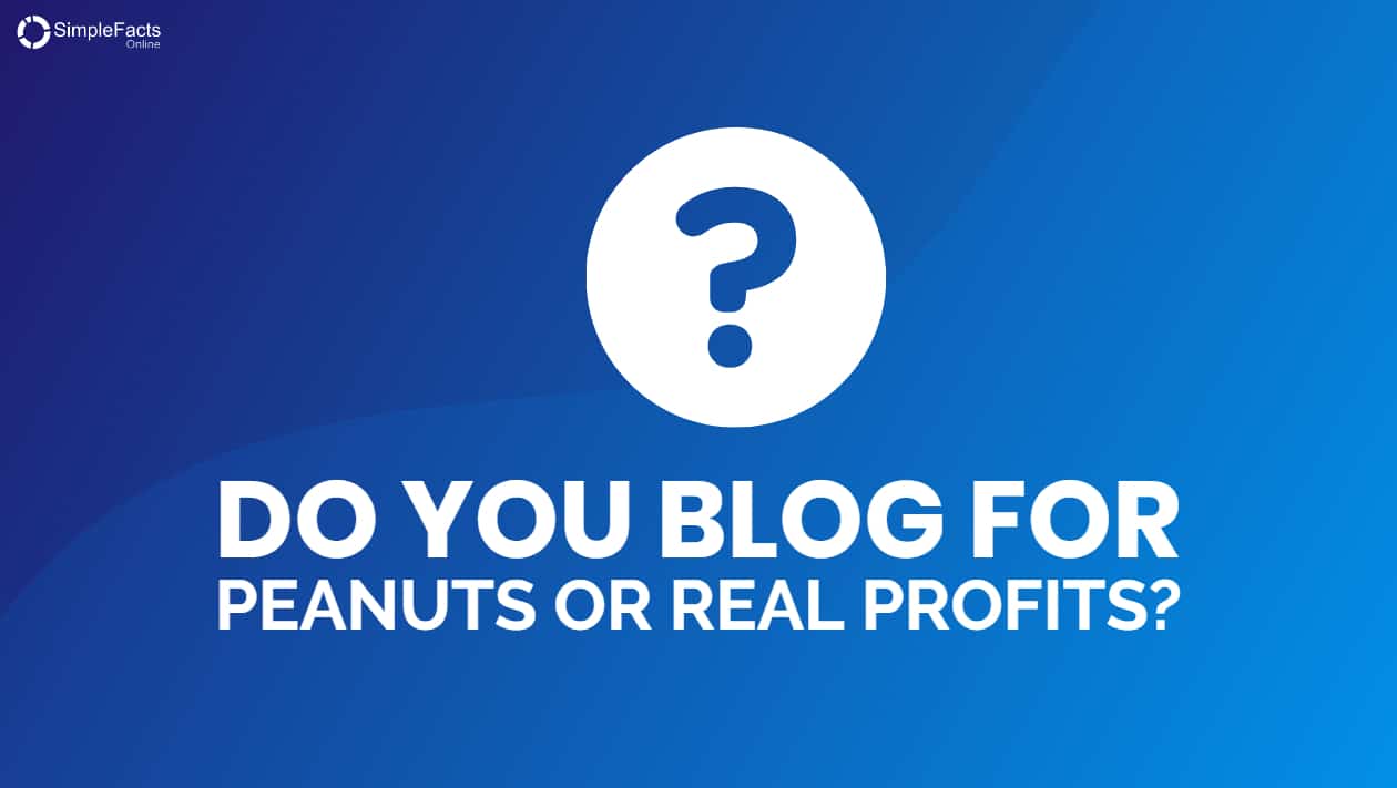 Blog For Profits